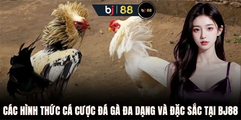 Các hình thức cá cược đá gà đa dạng và đặc sắc tại BJ88 