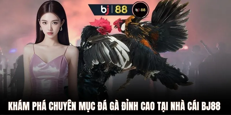 Khám phá chuyên mục đá gà đỉnh cao tại nhà cái BJ88 