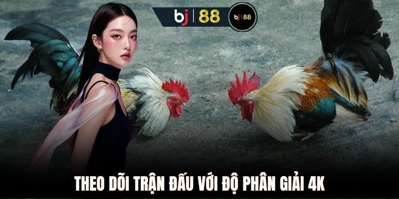 Theo dõi trận đấu với độ phân giải 4K